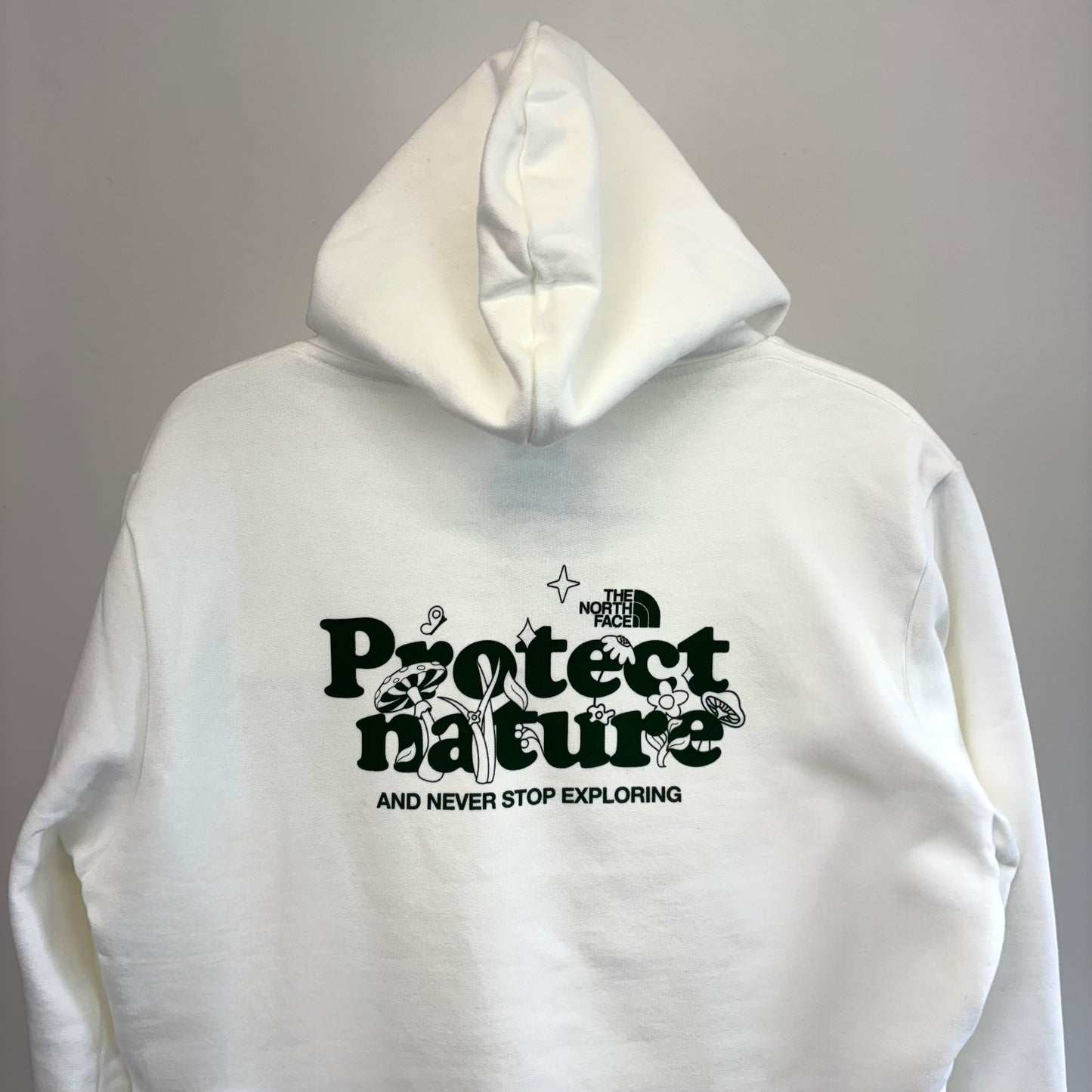 The North Face Protect Nature Graphic Hoodie